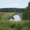 Tour 13: Darß - 2